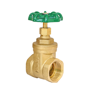 icon-van-dong-shinyi