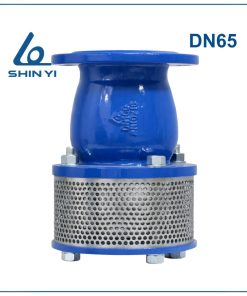 Rọ bơm Shinyi DN65