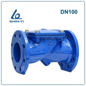 Van 1 chiều lá lật Shinyi DN100