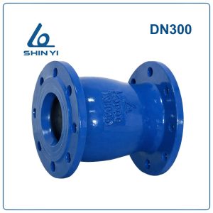 Van 1 chiều lò xo Shinyi DN300