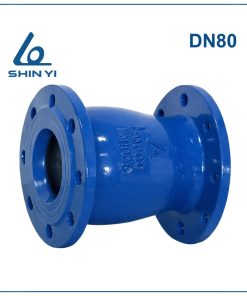 Van 1 chiều lò xo Shinyi DN80