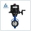 Van bướm động cơ điện Shinyi