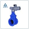 Van cổng động cơ điện Shinyi