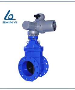 Van cổng động cơ điện Shinyi