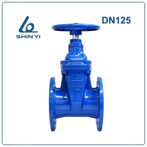 Van cổng ty chìm Shinyi DN125