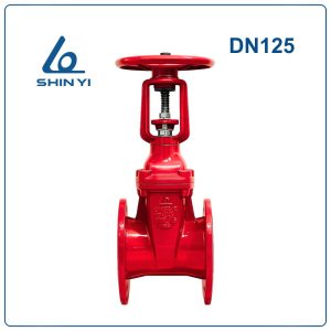Van cổng ty nổi Shinyi DN125