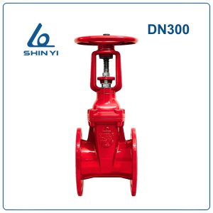 Van cổng ty nổi Shinyi DN300