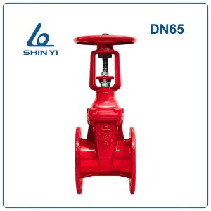 Van cổng ty nổi Shinyi DN65